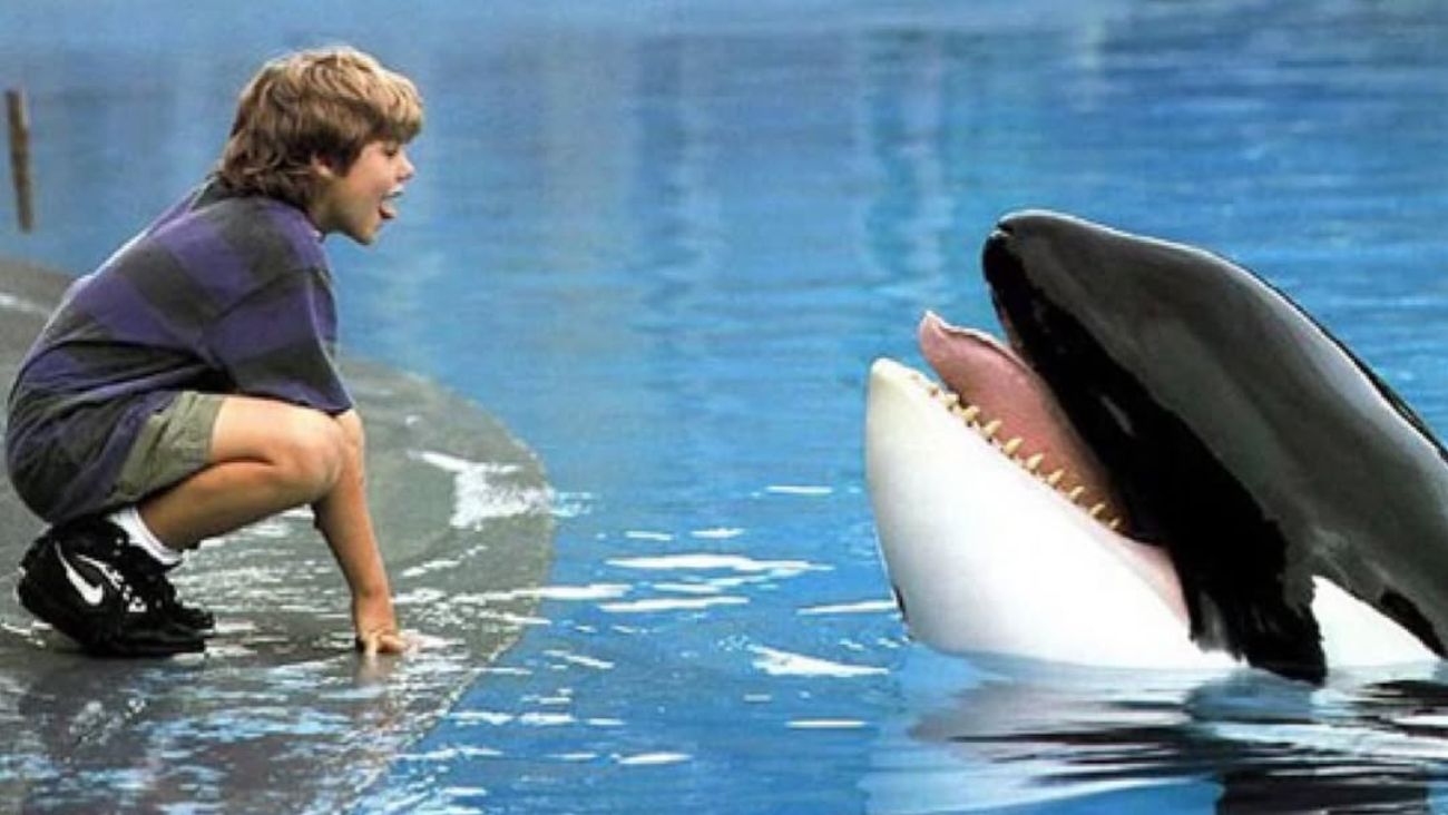 De Reino Aventura a una libertad a medias: La historia de Keiko, la orca protagonista de ‘Liberen a Willy’