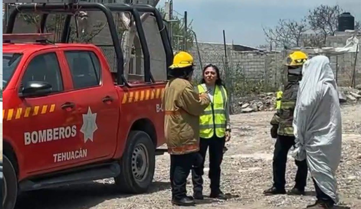 ¡Agresión mortal! Ataque de abejas deja un muerto y dos heridos en Tehuacán
