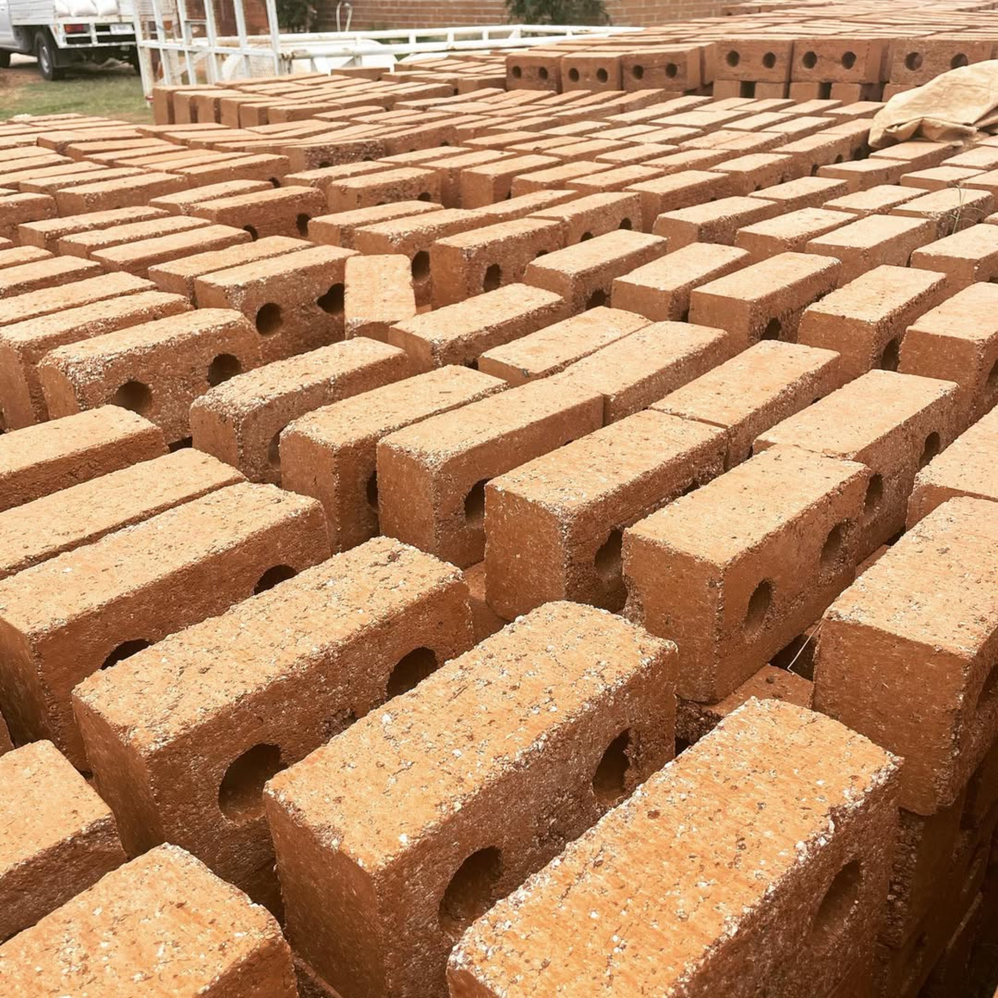 Sorpresa en el Caribe mexicano: el sargazo ahora se usa para fabricar bloques de construcción