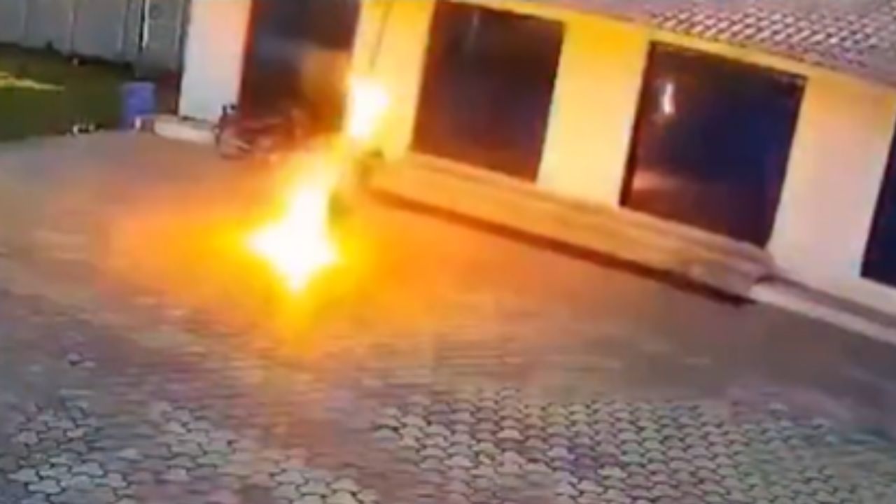 VIDEO FUERTE: Momento exacto en que trabajador muere ELECTROCUTADO tras intentar ahuyentar a un mono