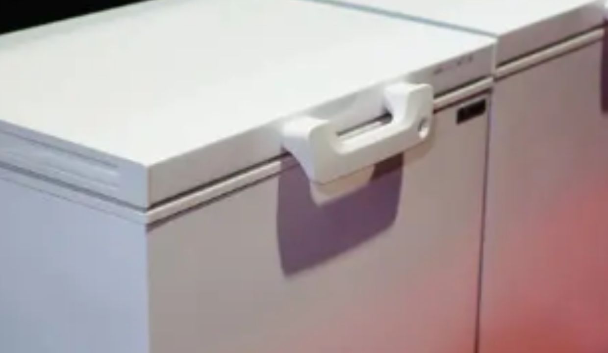 Hallan cuerpos de hermanitos dentro de un congelador; estaban jugando a las escondidillas