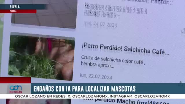 Nuevo modus operandi para mascotas perdidas