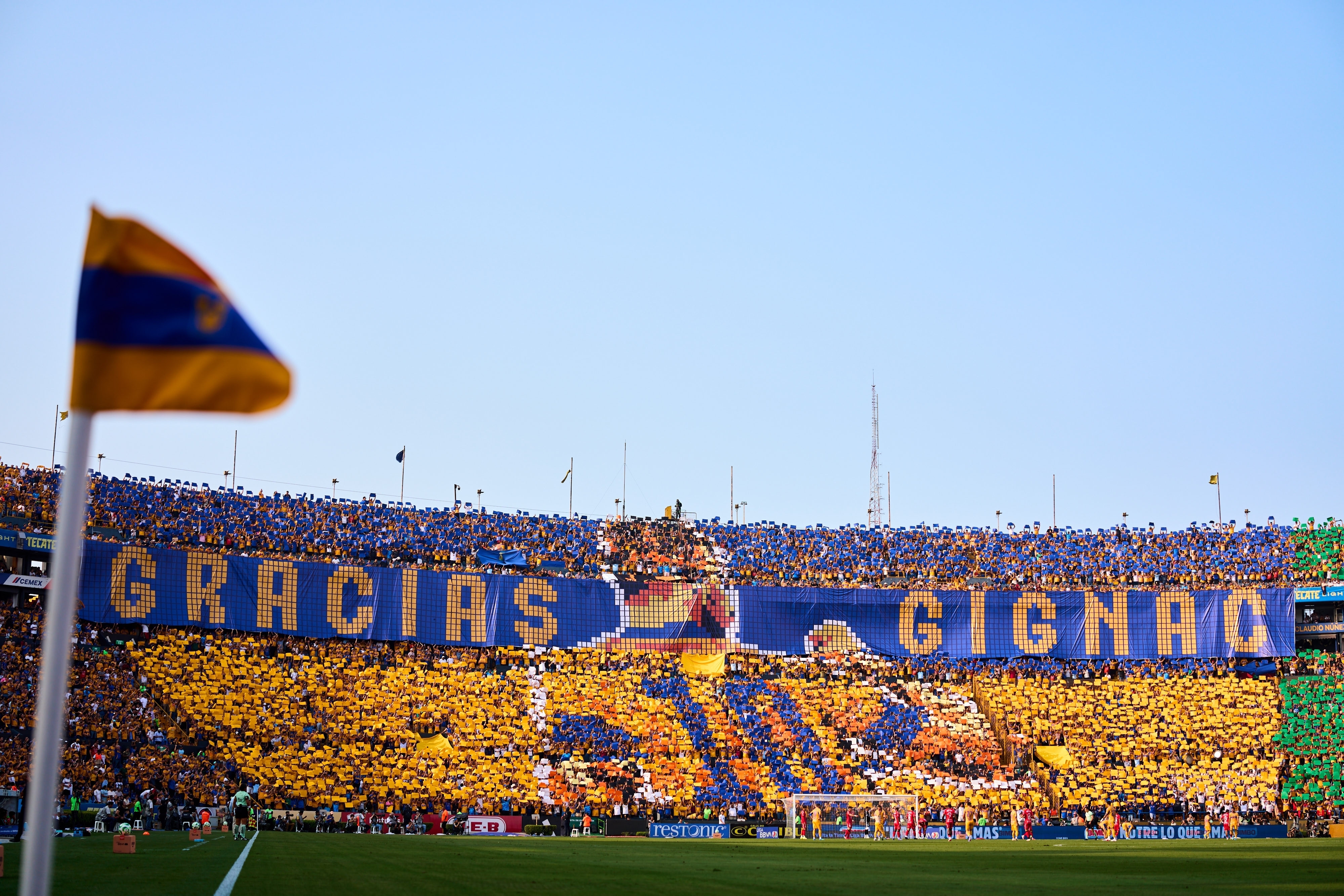 Medios de Francia reaccionan al homenaje de la afición de Tigres a ...