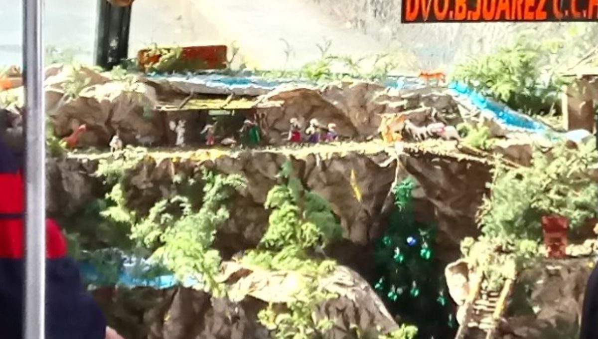 Microbús presume su meganacimiento y se hace viral