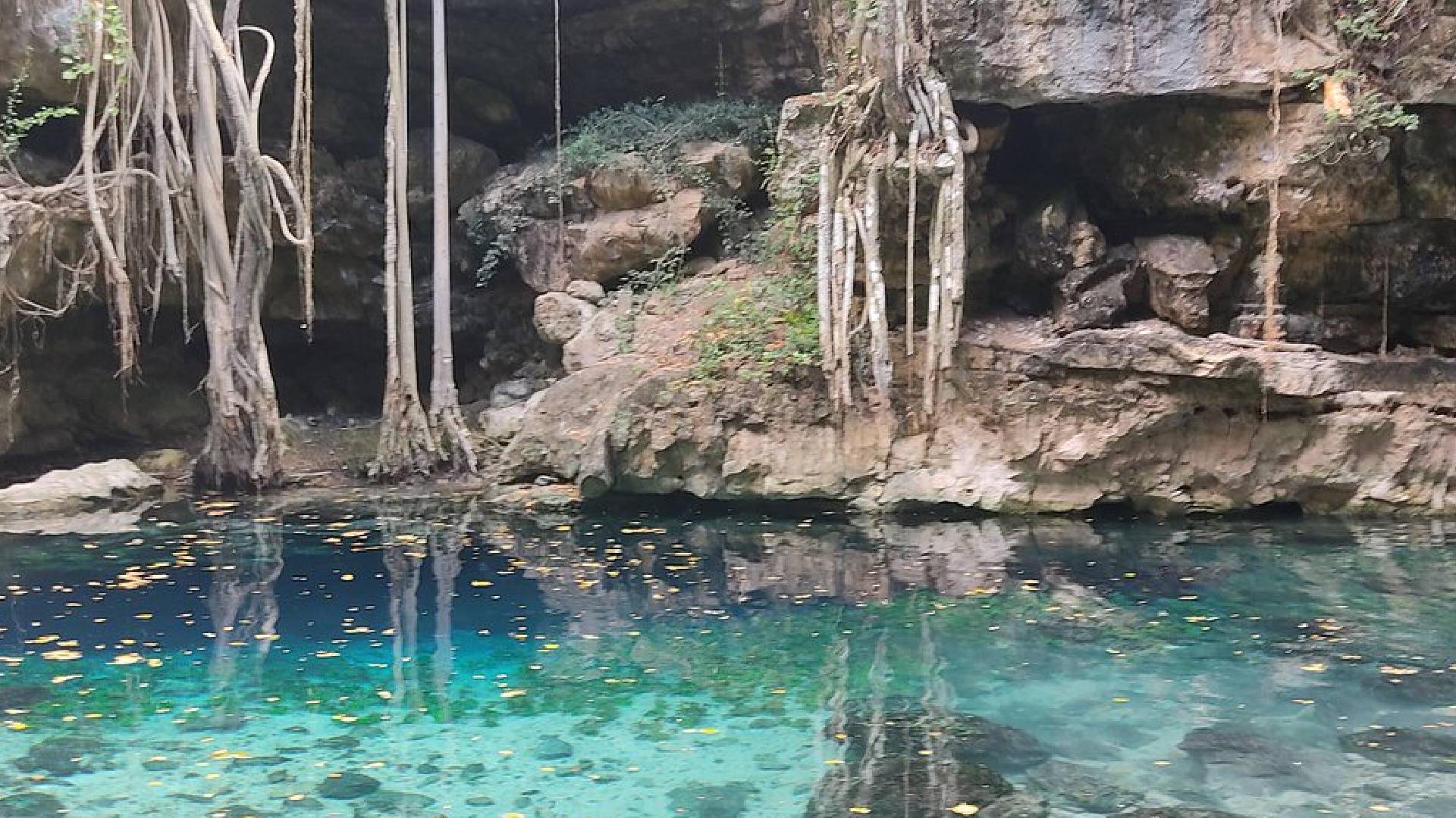 Buzo PERDIDO en cenote Dzombakal de Yucatán; lleva desaparecido más de ...