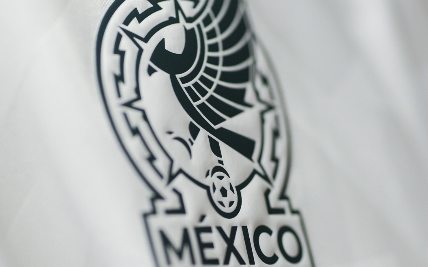 OFICIAL: La lista de convocados de la Selección Mexicana para el ...