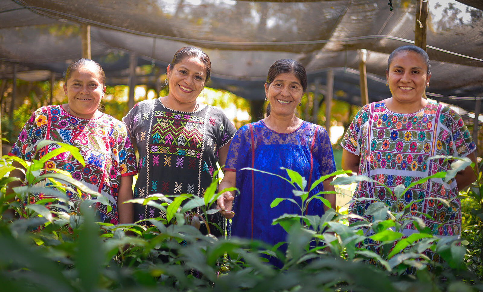 ¿Eres madre soltera? Así puedes recibir $9,900 pesos al año con el apoyo del Bienestar 2026