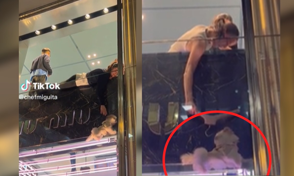 TikTok: Captan rescate de un perro atorado en una ventana