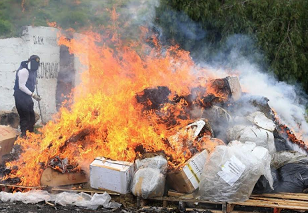 Incineran una tonelada de droga y 126 mil objetos del delito