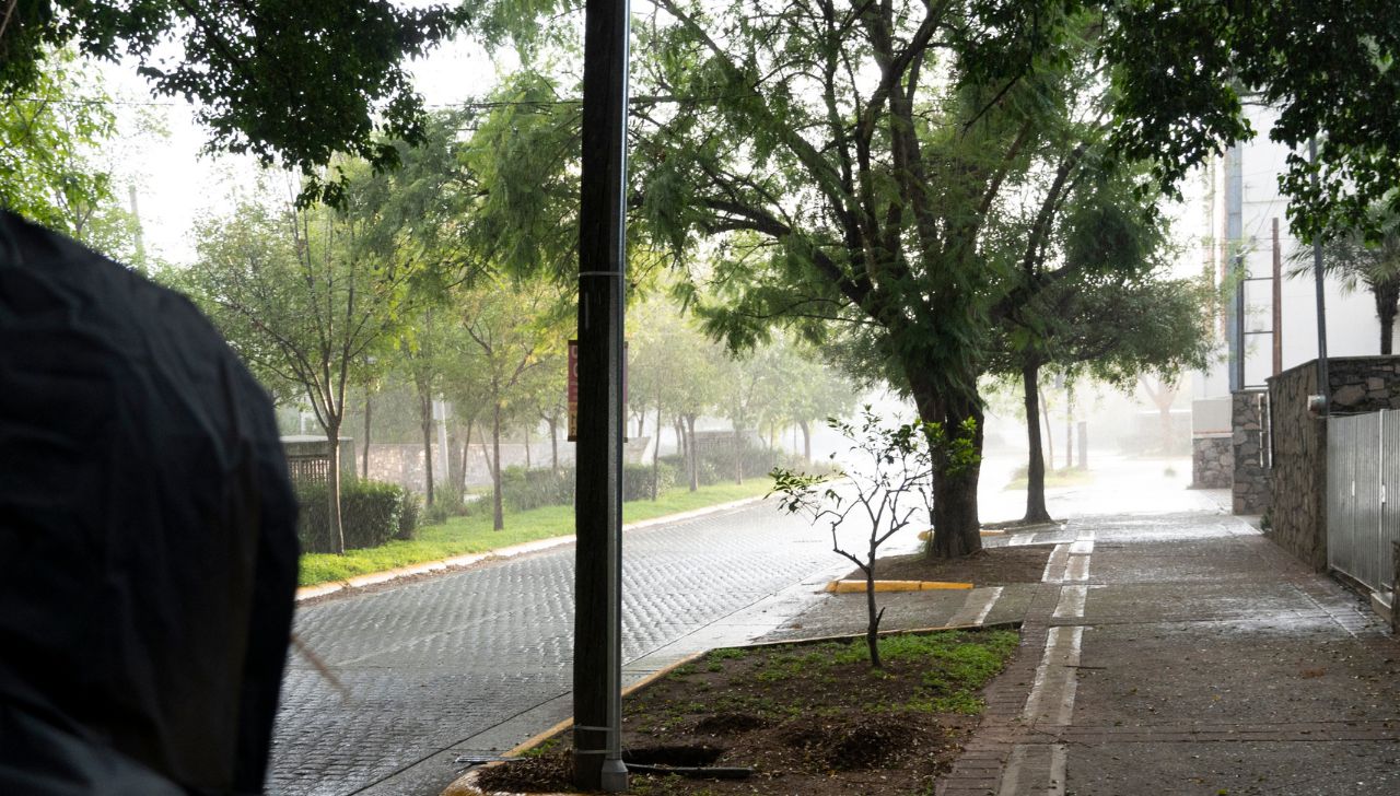 Conagua alerta por bancos de niebla en CDMX y Edomex