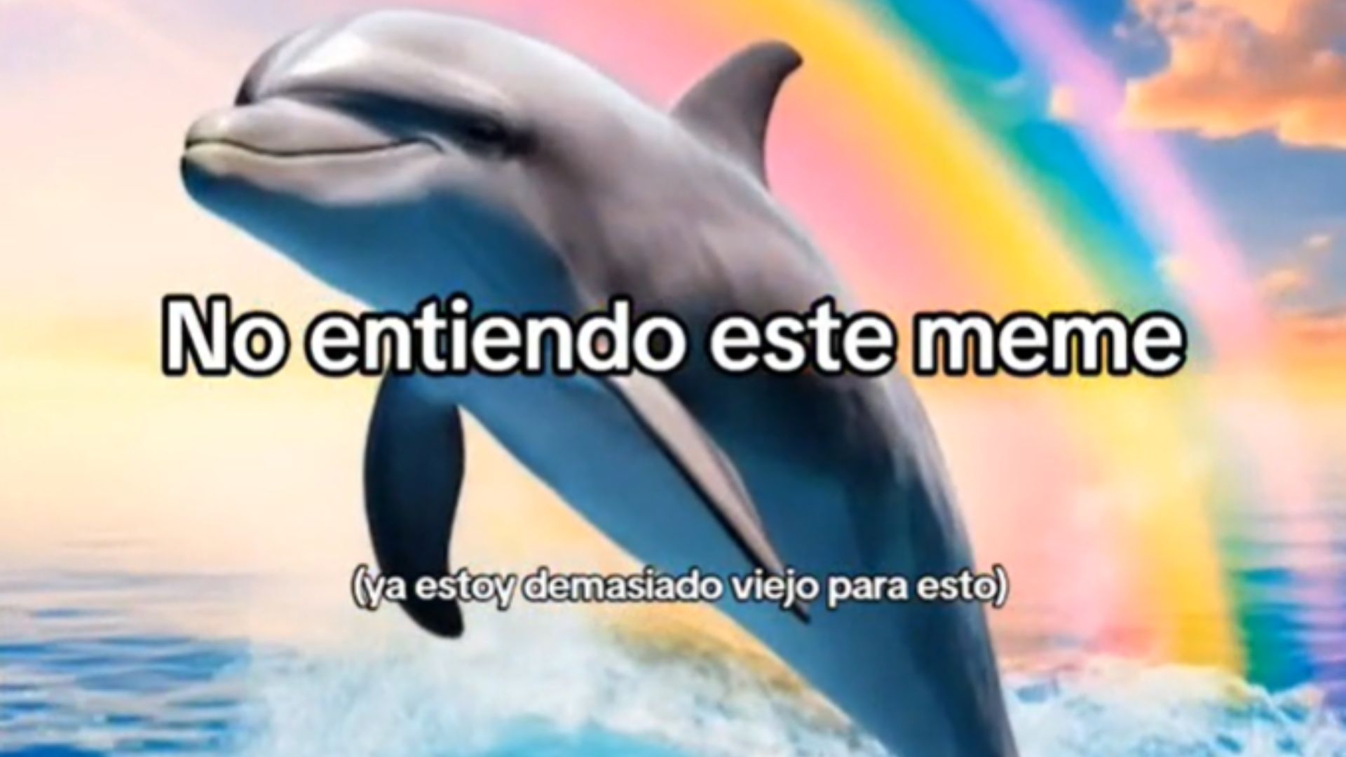Meme de los delfines con arcoíris y la canción 'Symphony': significado, image size:1920x1080