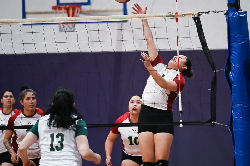 voleibol_061.jpg