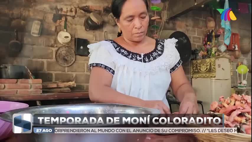 Hongo moní “coloradito” el tesoro oculto que invade cocinas y bosques ...