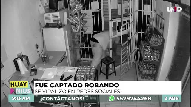 Ratero es captado gateando mientras roba una tienda en Campeche