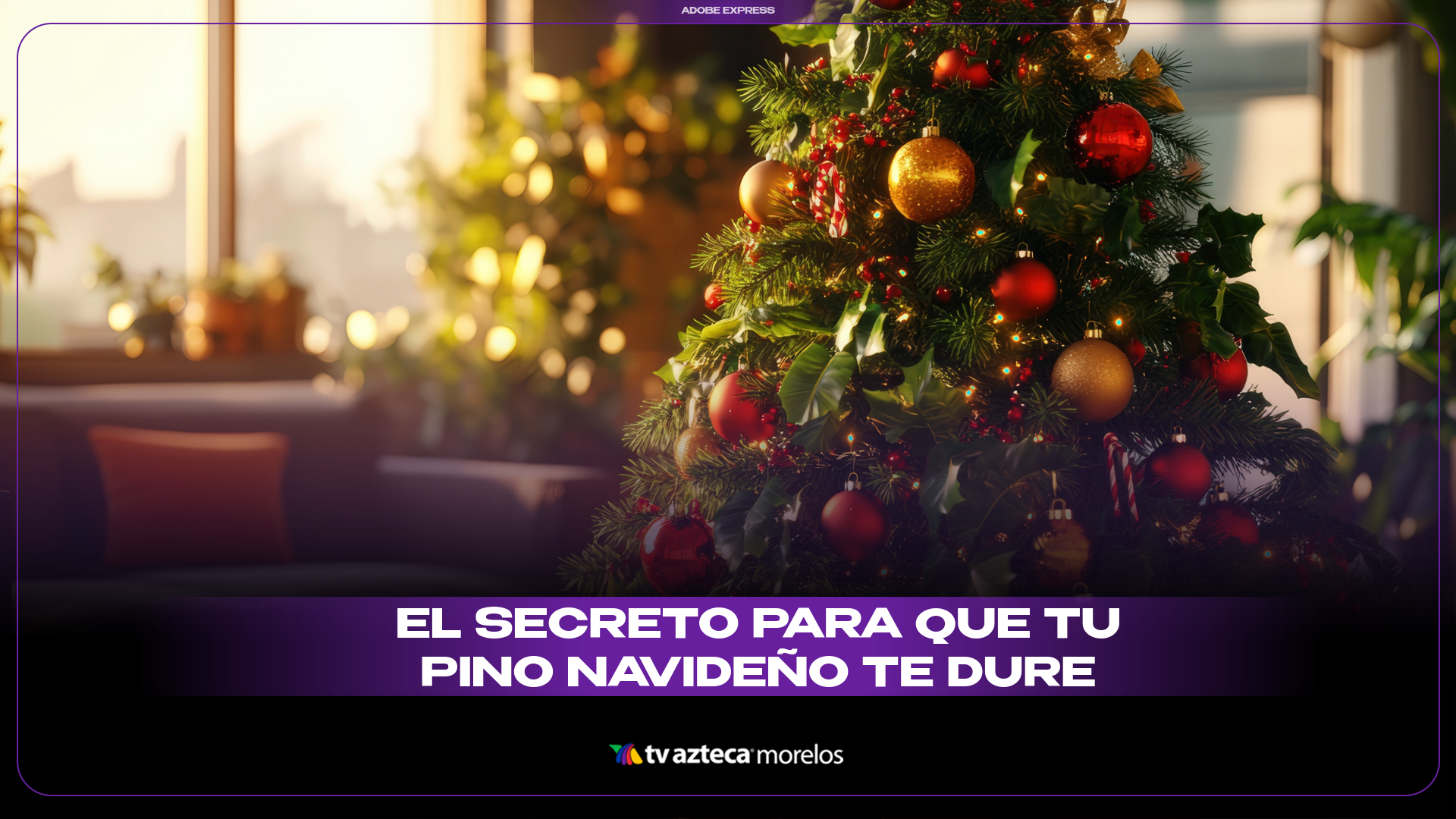 El secreto para un pino navideño perfecto que dure hasta Reyes