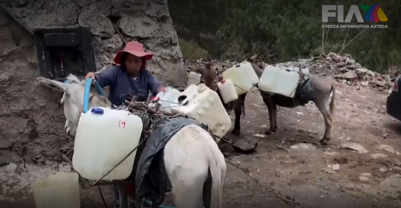 ¡A falta de pipas, burros! Así venden garrafones de agua en la CDMX