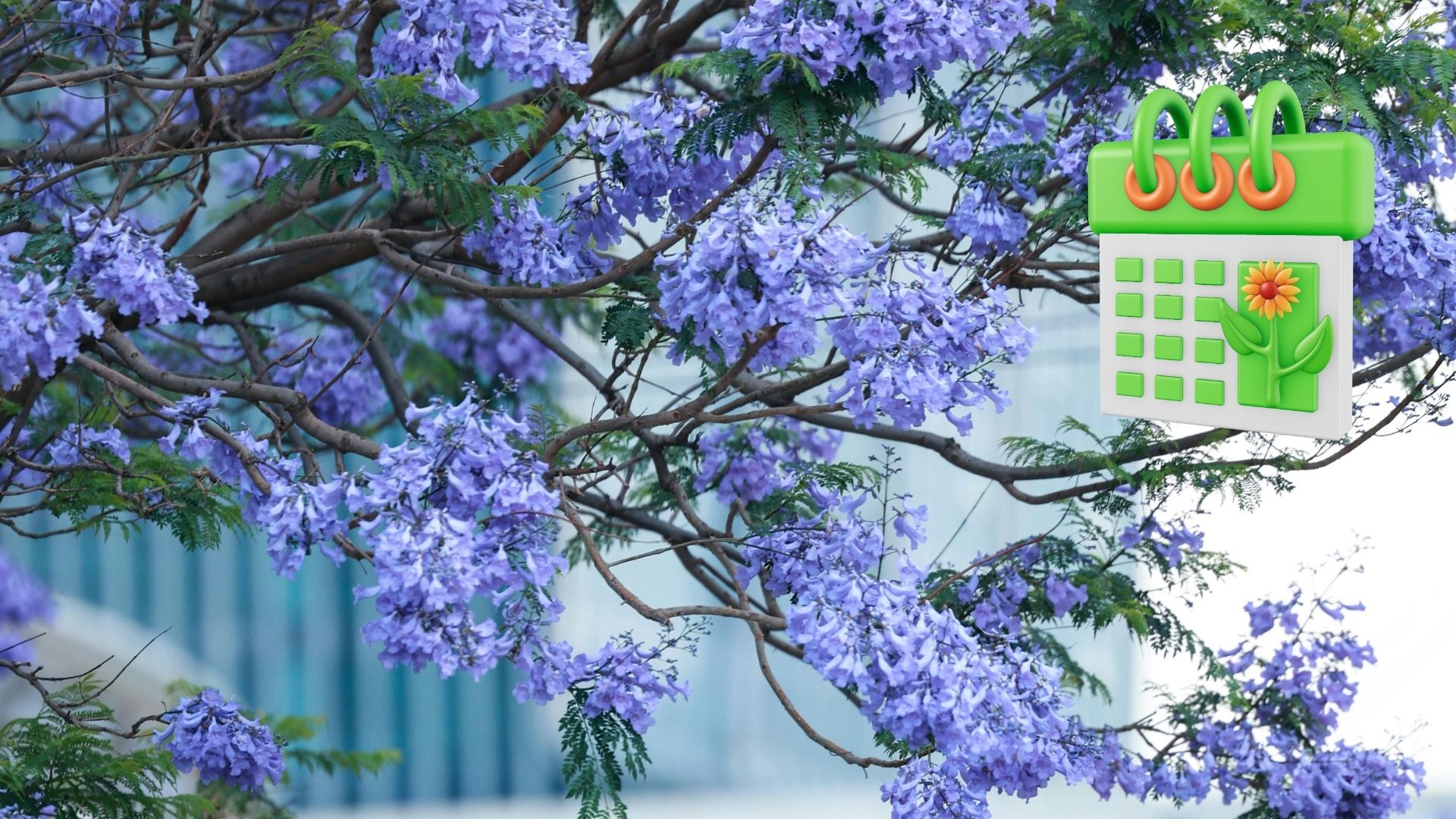 Equinoccio de primavera 2026: ¿Cuándo y a qué hora entra el cambio de ...