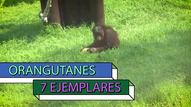 K9 handler becky onlyfans Two-phone arrangement — traveled