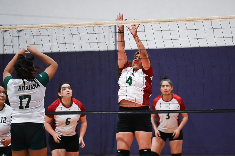 voleibol_062.jpg