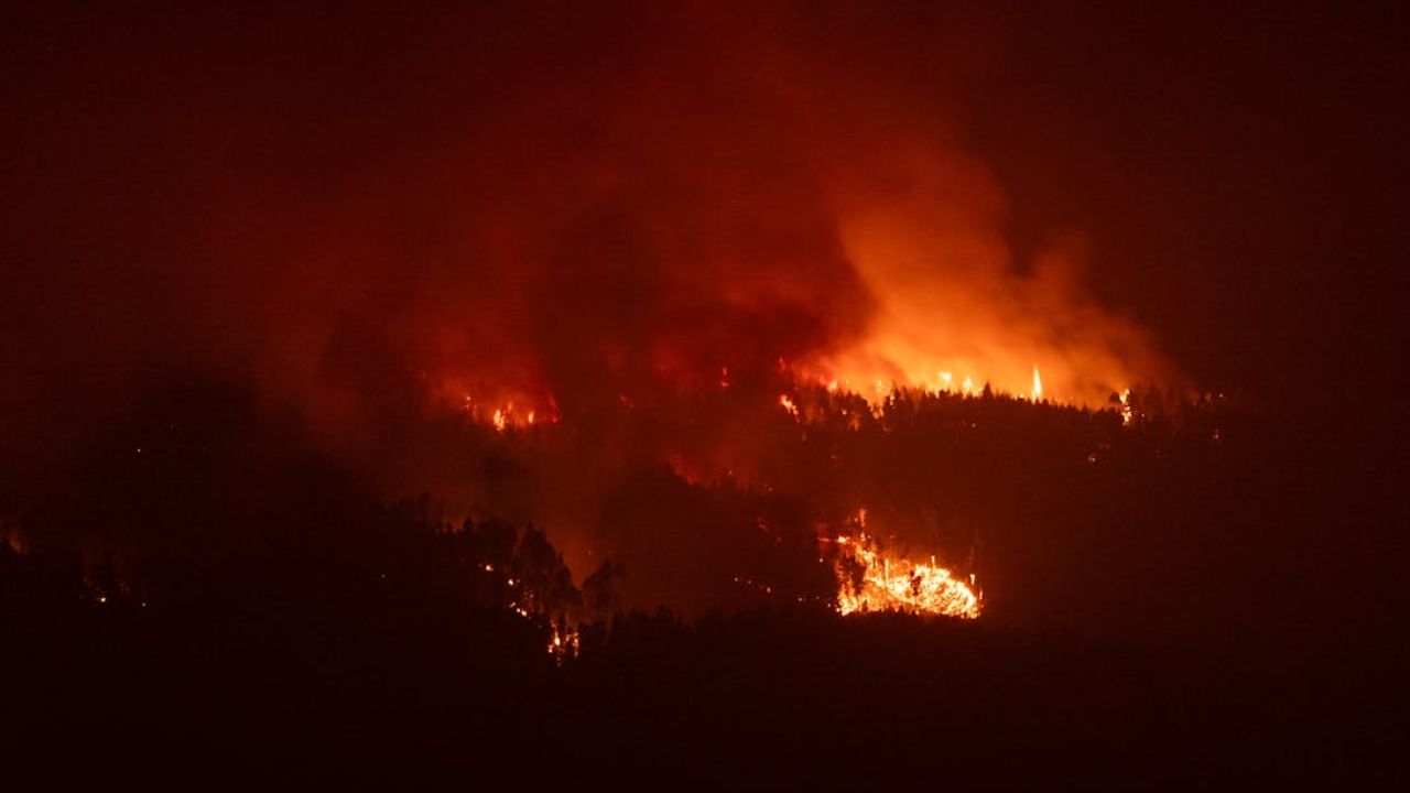FOTOS: Incendio en la colonia Unión Antorchista alarmó por cercanía a viviendas; así se vio