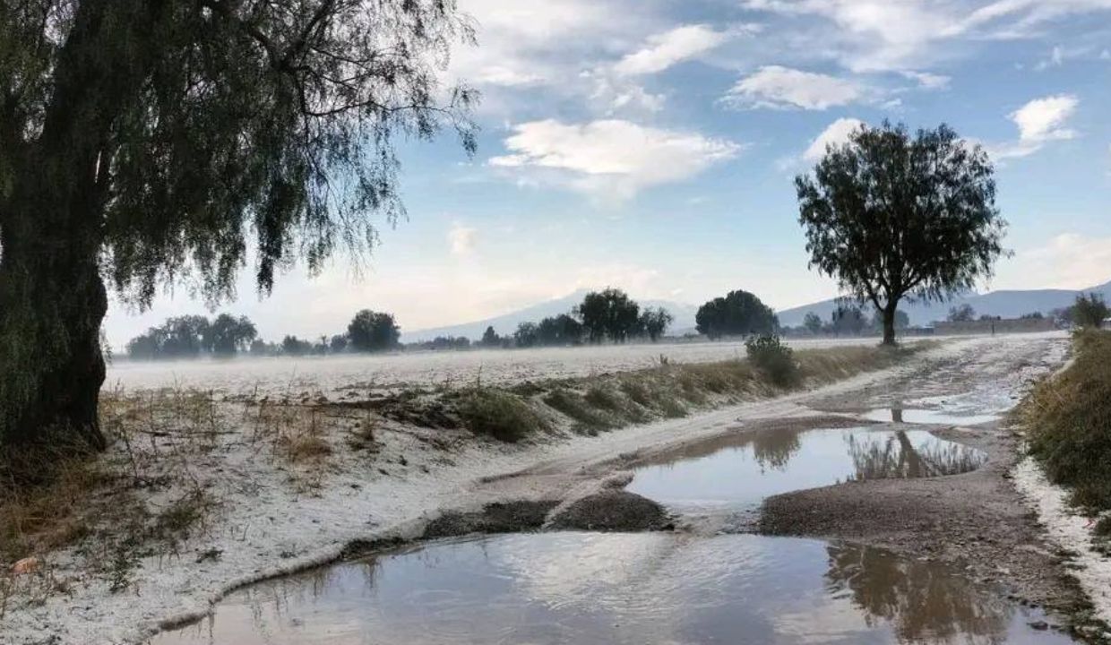 VIDEO: ¡Se tiñen de blanco! FUERTE GRANIZADA destruye viviendas y zonas de cultivo en Puebla