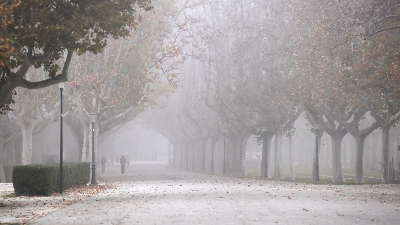 Los motivos por los que ha hecho tanto frío en México últimamente, explicado por la UNAM