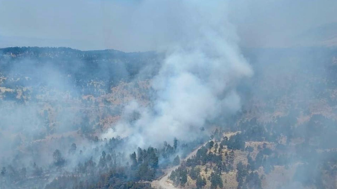 Reportan incendio forestal en el Nevado de Toluca, Edomex