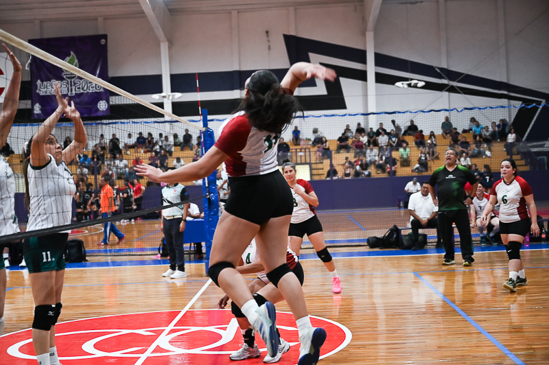 voleibol_080.jpg