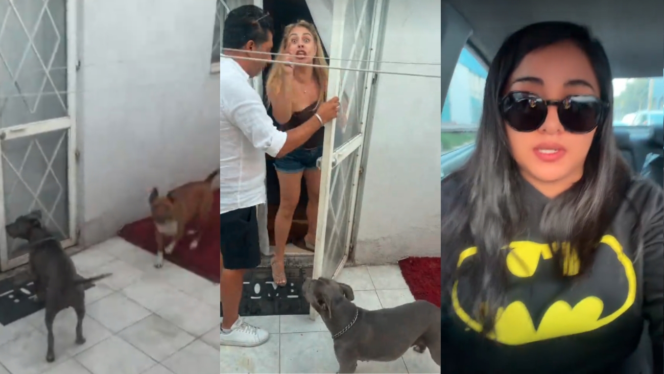VIDEO: Pitbulls bloquean su casa, vecina la insulta y a pesar del miedo, todo acaba en denuncia