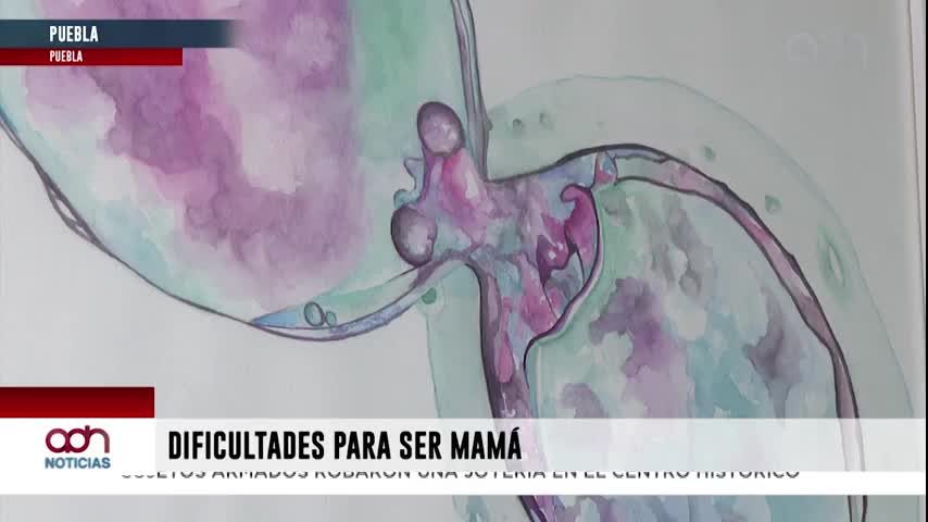 Importancia de la reproducción asistida para ser mamás