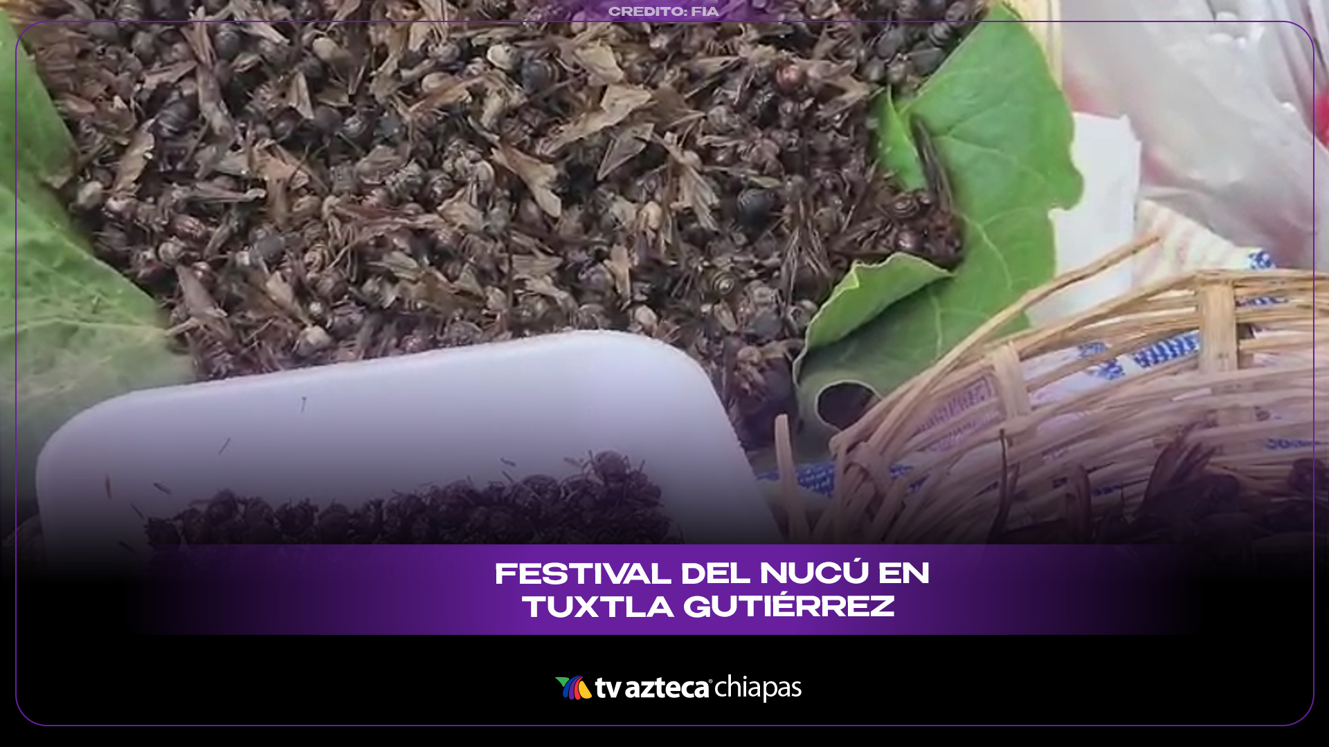 Nucu De lo exótico a lo delicioso: el festival que rinde culto al Nucú ...