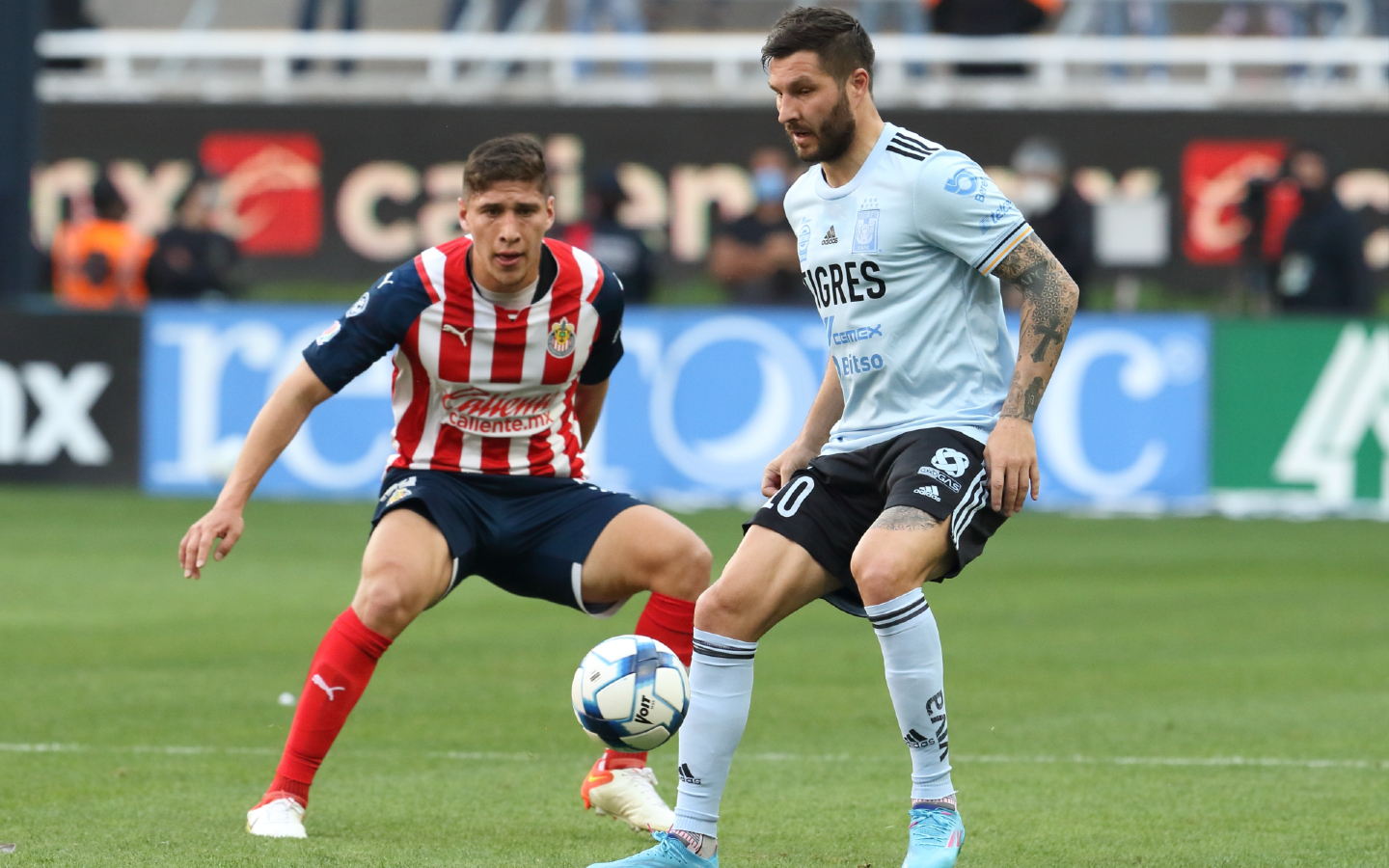 TV Azteca transmitirá Chivas vs Tigres EN VIVO | Liga BBVA MX