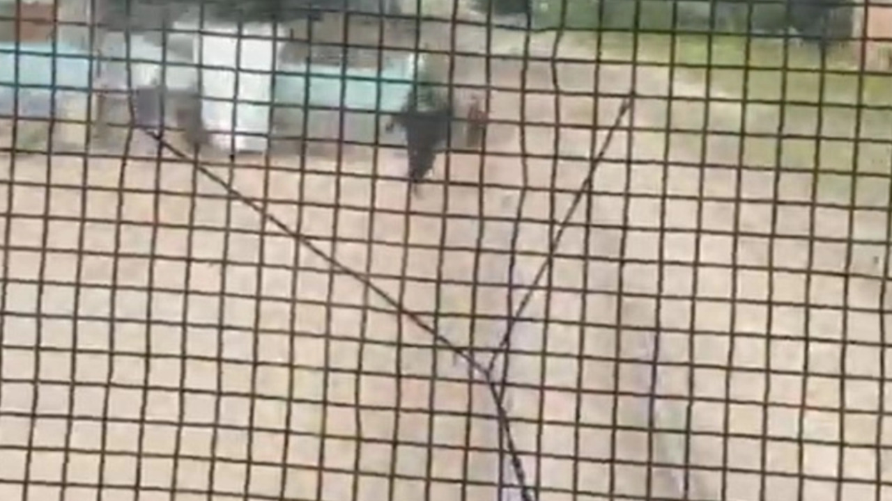 IMPACTANTE VIDEO: Policía se lanza a vías del tren y salva a niño de 3 años en Córdoba