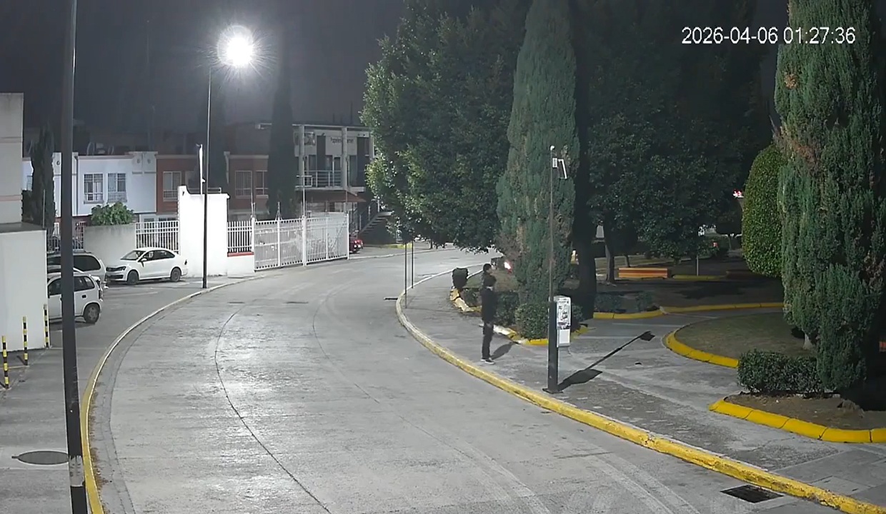 VIDEO: Árbol arde en llamas en fraccionamiento Los Héroes Puebla; jóvenes le prendieron fuego