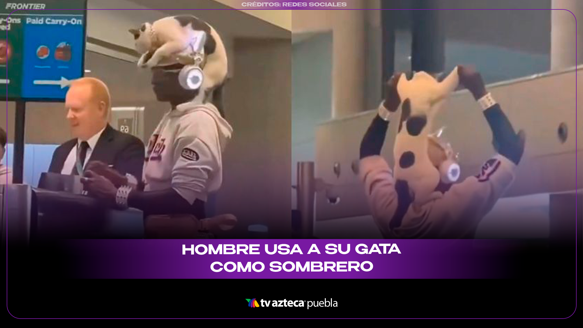 Hombre lleva a su gata como sombrero en aeropuerto y se vuelve viral.