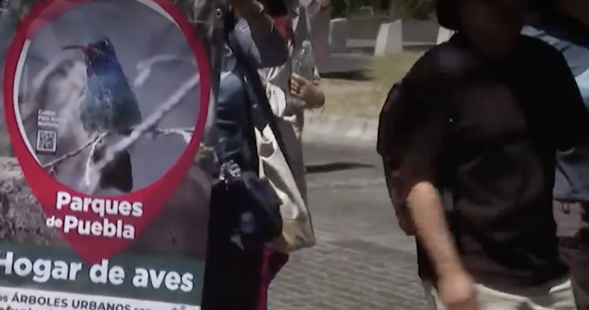 El gobierno de Alejandro Armenta insiste en el Cablebús pese a críticas por falta de transparencia ¿Hay algún interés detrás?