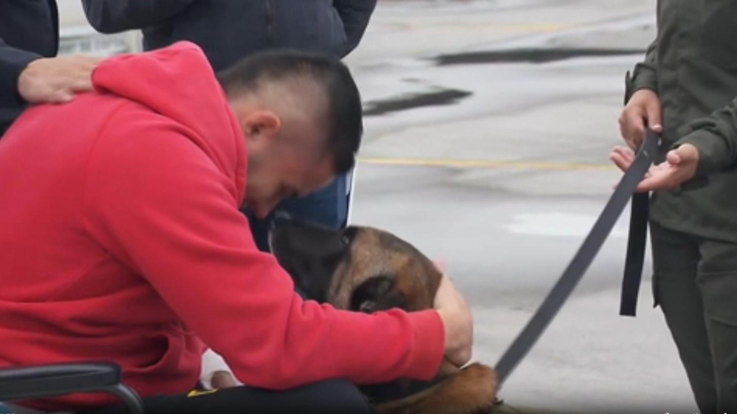 Reencuentro entre policía y su perro que sobrevivieron al atentado de  Antioquia