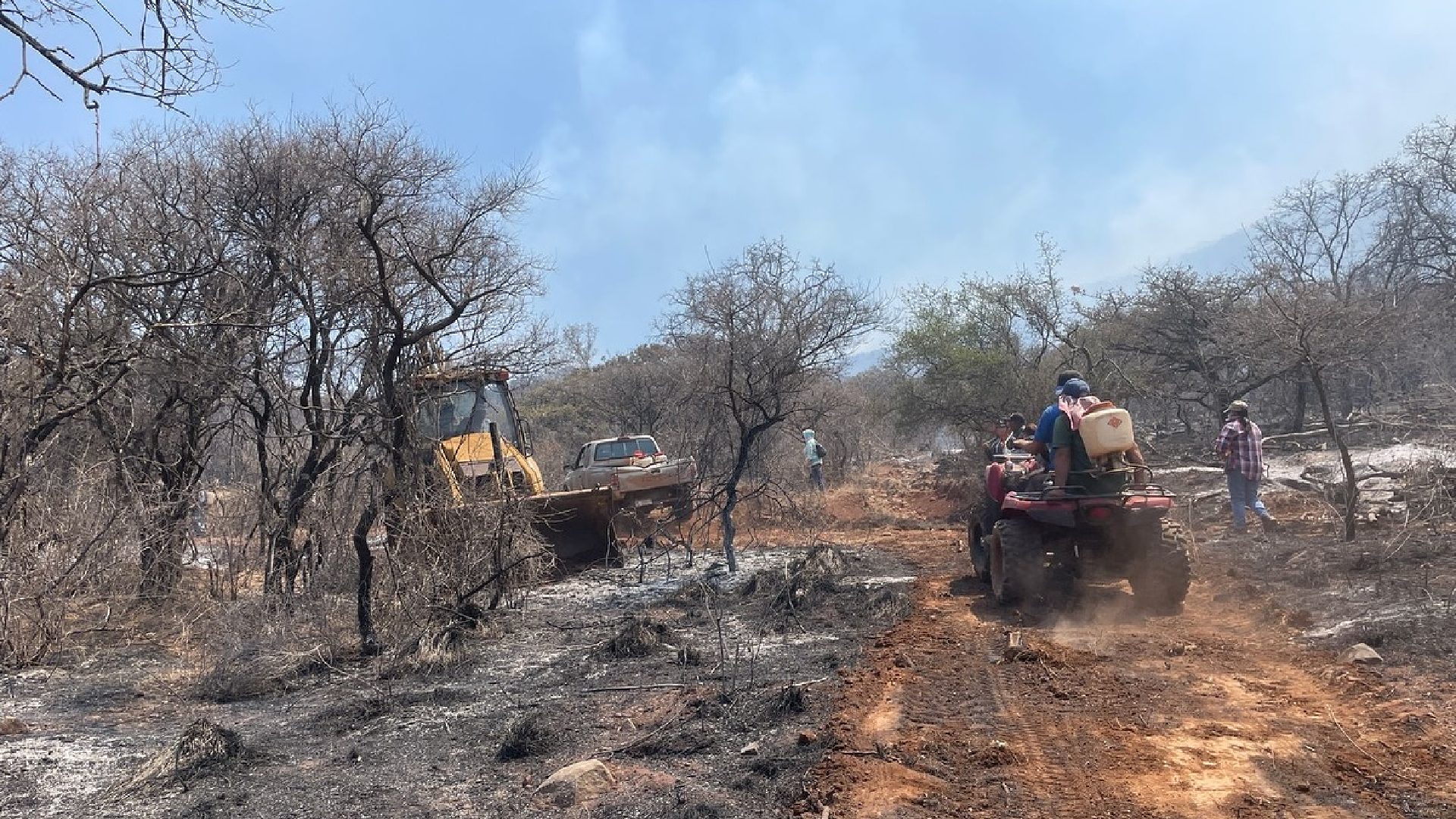 Confirman extinción del incendio en el cerro de los Amoles en Yuriria ...