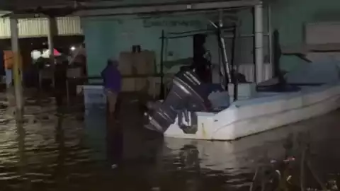Sisal bajo el agua ante paso del huracán Milton; hay perros atrapados por inundaciones.jpg