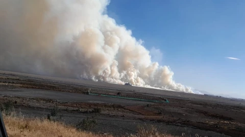 Fuerte incendio consume pastizales en la Laguna de Zumpango