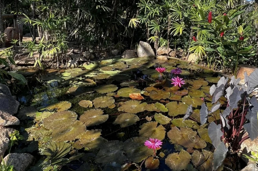 Jardín-Botánico-Acapulco.jpg