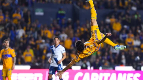Tigres, Liga MX