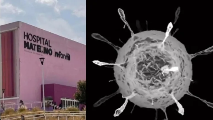 Rickettsiosis la infección transmitida por piojos que causó la muerte de un niño en Coahuila