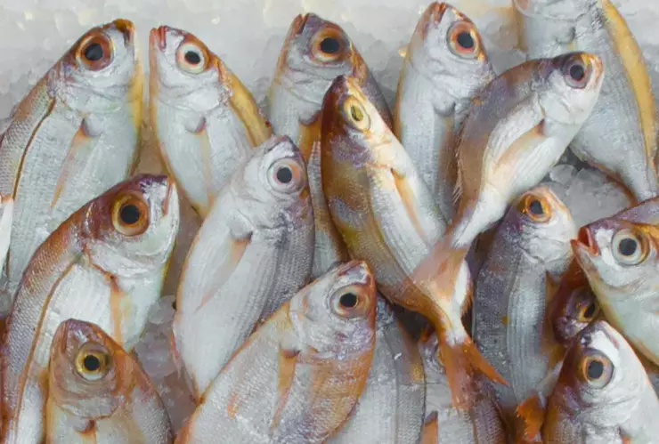 pexels-mali-229789 (2) (1).jpg