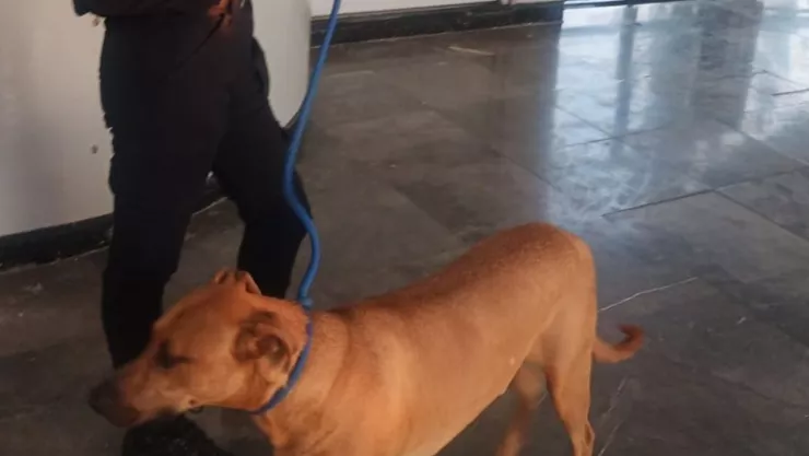 Texto del párrafo - 2025-05-15T104607.429.jpg