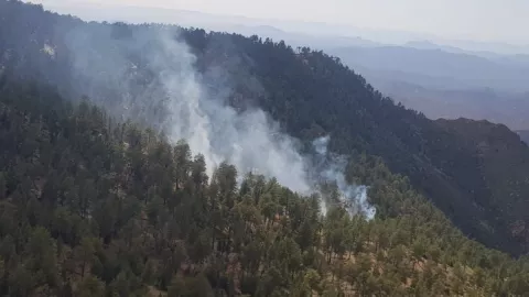 Controlan incendio forestal en la Sierra San Pedro Mártir en Baja California en julio del 2022 .jp