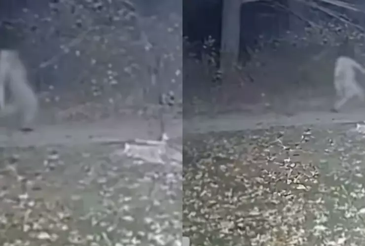 VIDEO Cámara de seguridad capta figura aterradora sin cabeza en medio de la noche; ¿qué es