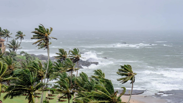 Niveles de huracanes y su destrucción según la categoría.jpg