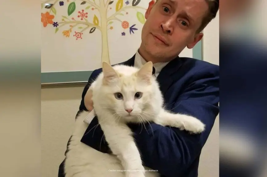 Macaulay Culkin