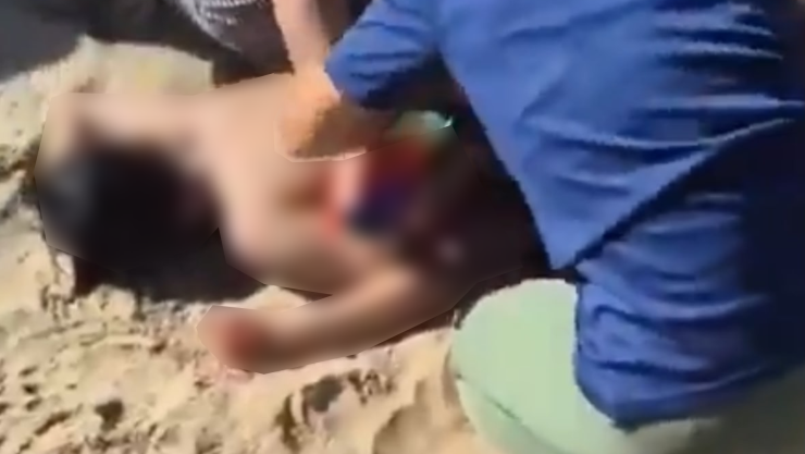 Tiburón ataca a niño en Brasil